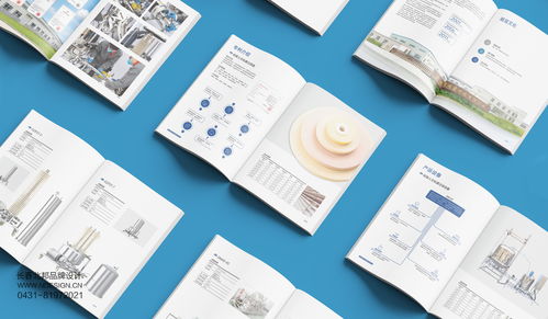 吉林硅寶科技公司企業(yè)宣傳冊設(shè)計案例解析——北邦設(shè)計的技術(shù)推廣服務(wù)實(shí)踐